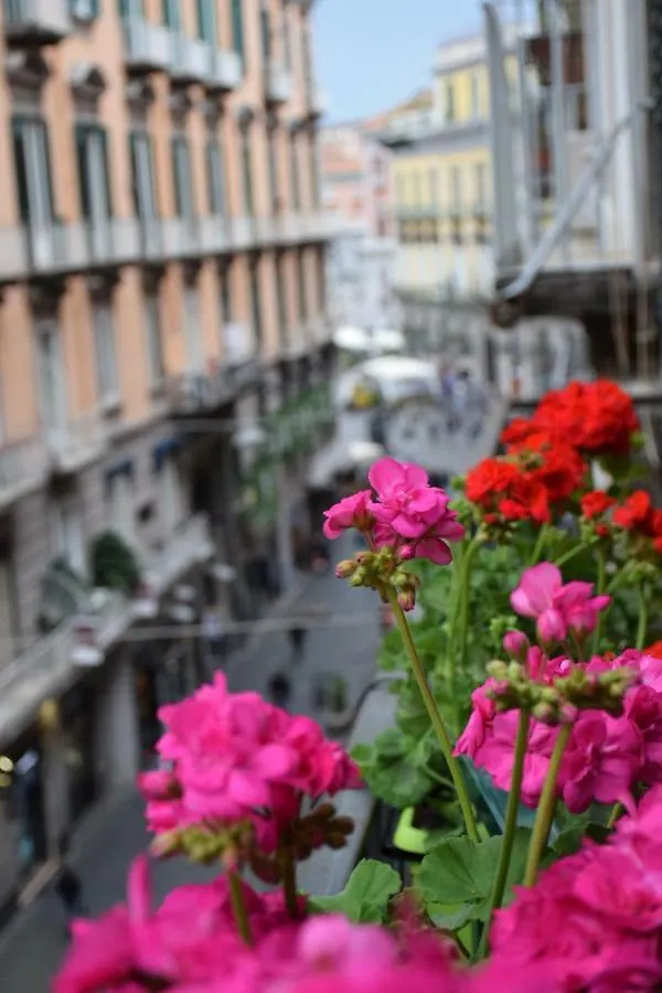Toledo Suite Apartment Naples